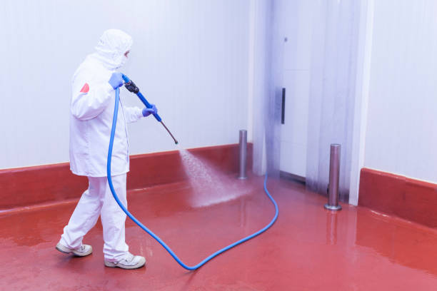 Pre-Holiday Cleaning in Westminster, SC